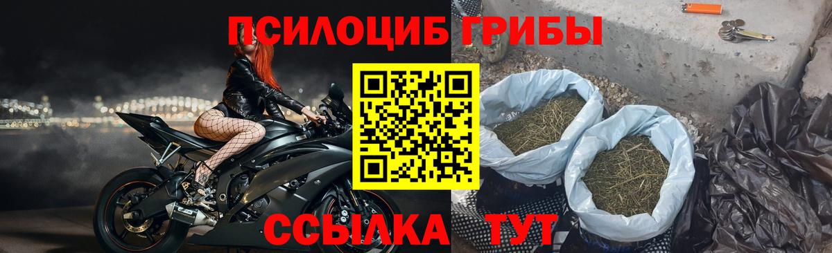 Майский  Псилоцибиновые грибы Psilocybe  Вход с VPN  Псилоцибиновые грибы мухоморы 